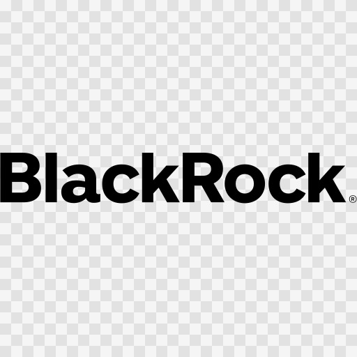 BlackRock logo as a gain map image