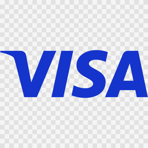 Visa logo as a gain map image