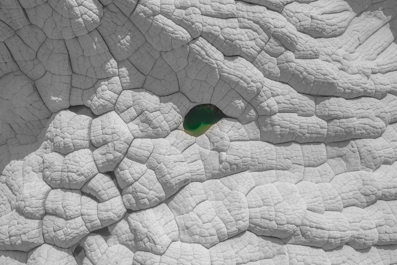 a close up of an elephant's skin with a green spot in the center, Ultra