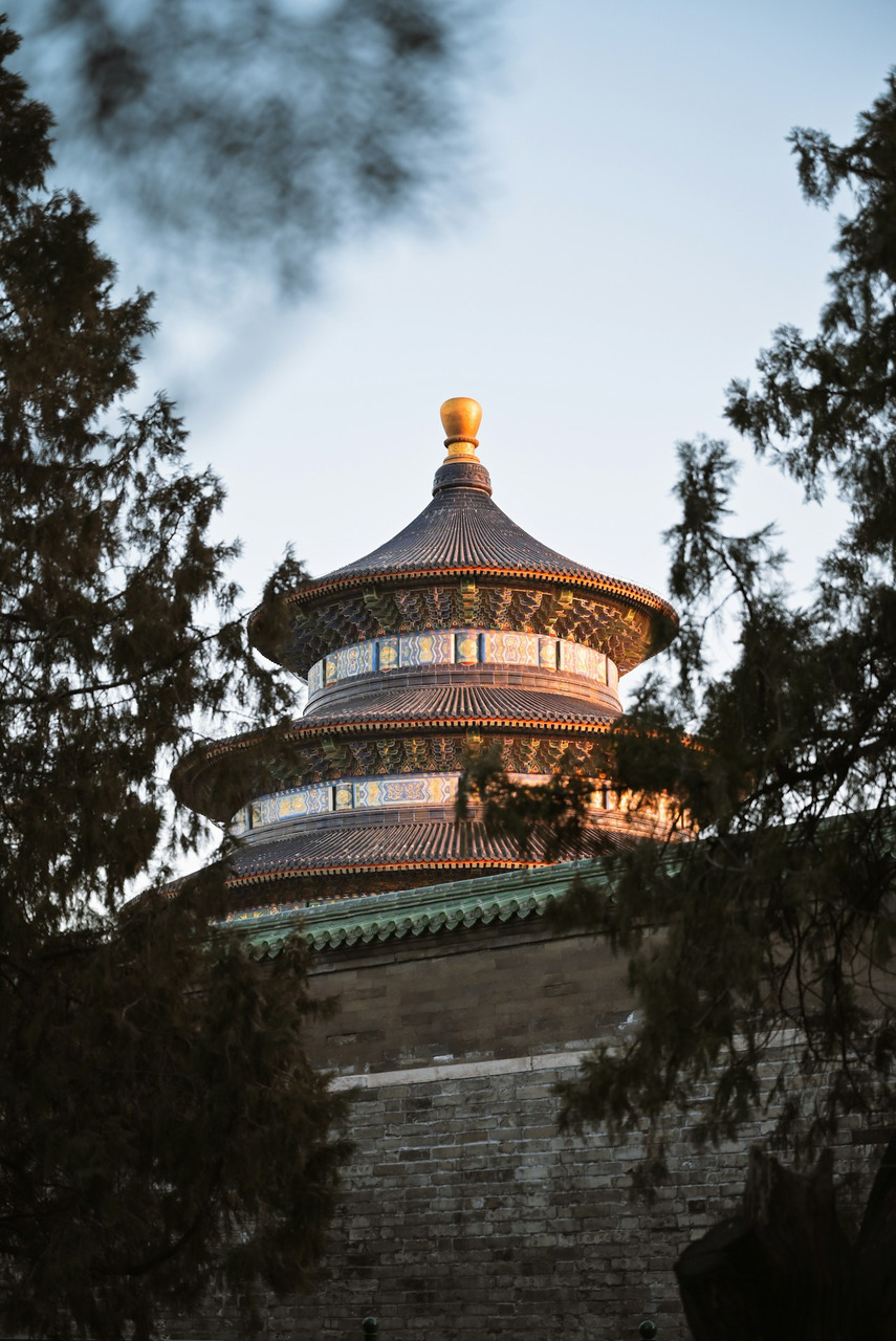 The ornate tiled roof of the Temple of Heaven in Beijing framed by trees, Ultra
