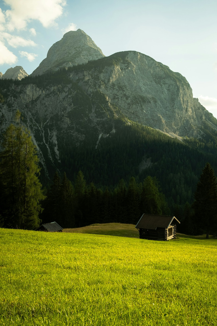 Wooden cabin in a lush green meadow before a mountain, Ultra